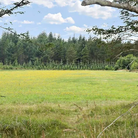 Casa de Férias 456-bedsted-thy-istrupvej-44 *